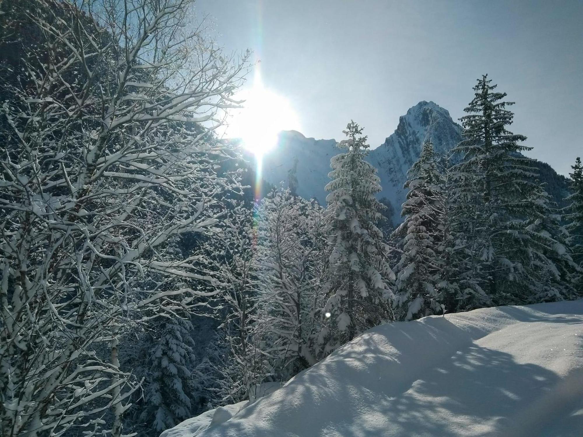 Le Refuge Du Poete Leilighet Saint-François-de-Sales Eksteriør bilde